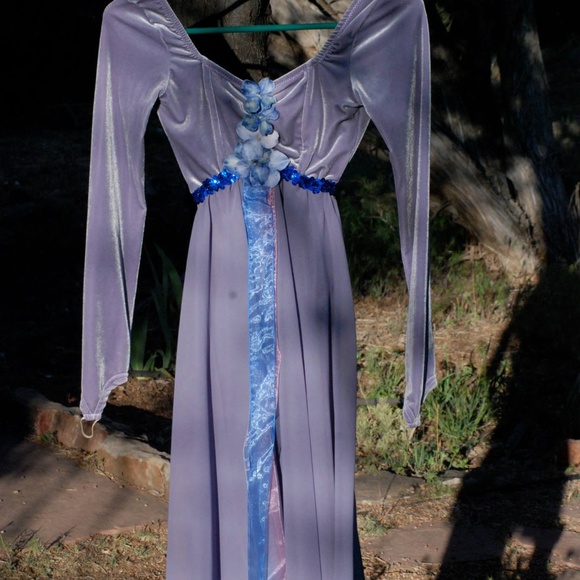 Curtain Call Other - Stretch Velveteen and Chiffon Fairy Costume Curtain Call Other - Stretch Velveteen and Chiffon Fairy Costume